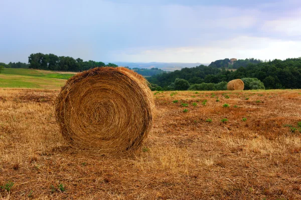 Rolo feno cortado no fundo das colinas da Toscana — Fotografia de Stock