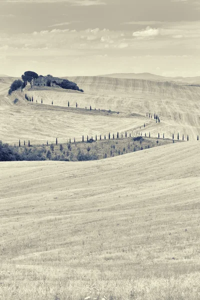 Stylized landscape of the ruined old house in the hills of Tuscany — Stock fotografie