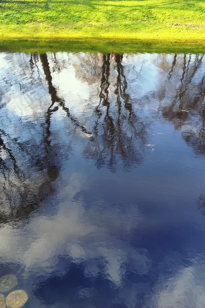 Reflejo de árboles en el estanque de la ciudad con orilla verde — Foto de Stock