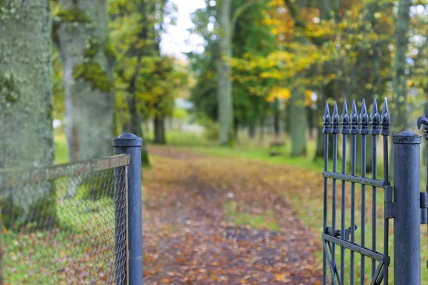 Fragment of beautiful decorative fence in autumn park Stock Picture