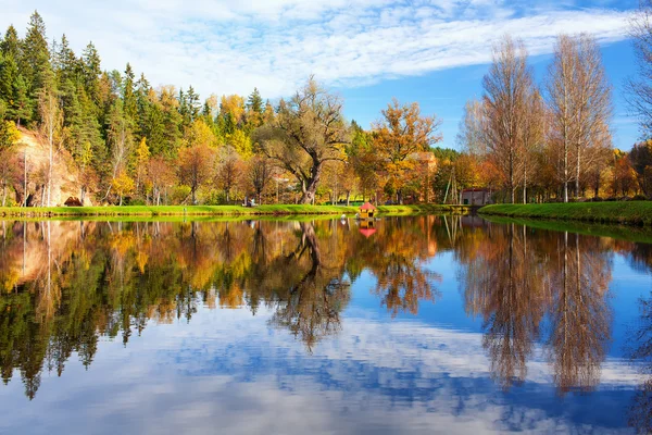 House for swans on the lake in the autumn forest — Stock Photo, Image