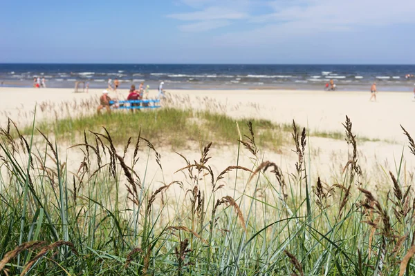 La plage de sable de la mer Baltique par une saison estivale — Photo