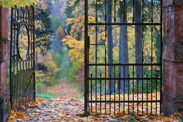 Openwork old iron gate in the autumn park — Stock Photo, Image