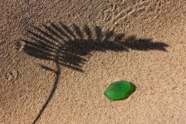 La sombra de la planta en la playa de arena amarilla y vidrio verde fro — Foto de Stock