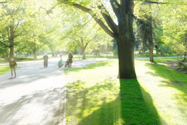 İnsanlar sabah bahar Parkta yürümek.
