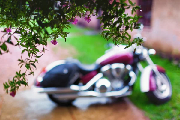 Verschwommenes Motorrad im Regen und Blumen — Stockfoto