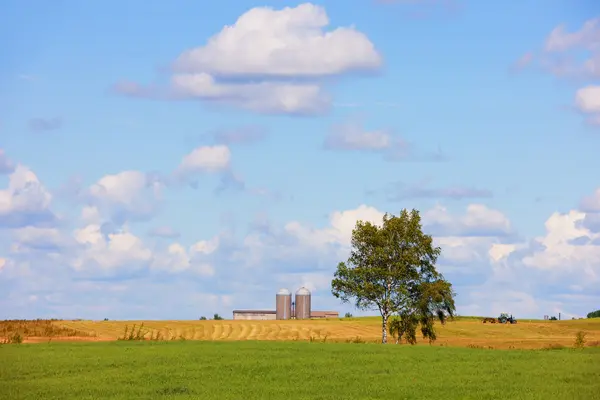 Paesaggio rurale con campo verde e giallo — Foto Stock