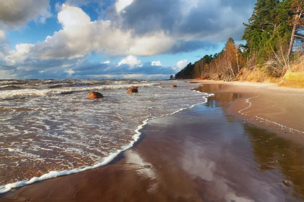 A tempestade no Mar Báltico para a floresta nas margens — Fotografia de Stock