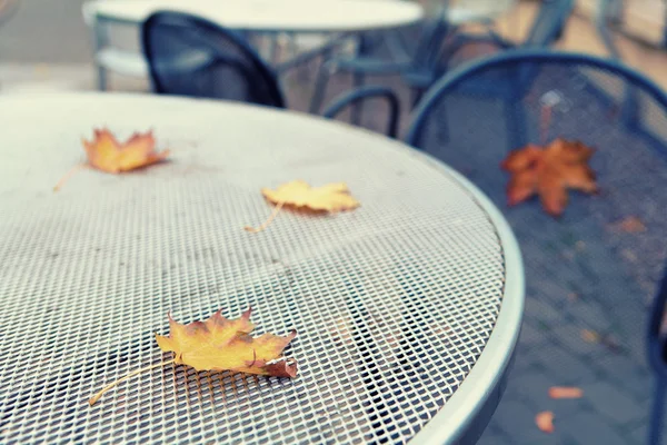 Maple leaves on the table in summer cafe — Stock Photo, Image