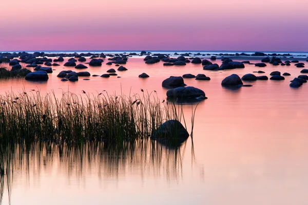 Piedras en el mar al atardecer púrpura — Foto de Stock