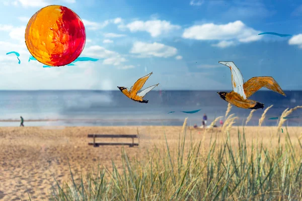 Cam ve güneş garip martı beach backgrou üzerinde boyalı — Stok fotoğraf