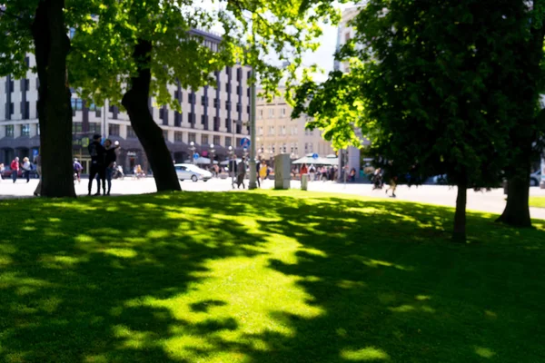 Зеленая трава в парке на площади в Риге — стоковое фото