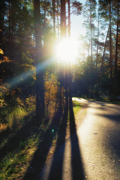 Um homem caminhando ao longo da estrada com os raios do sol através do th — Fotografia de Stock