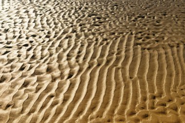 Güneşli bir gelgit sonra sarı deniz kum plaj