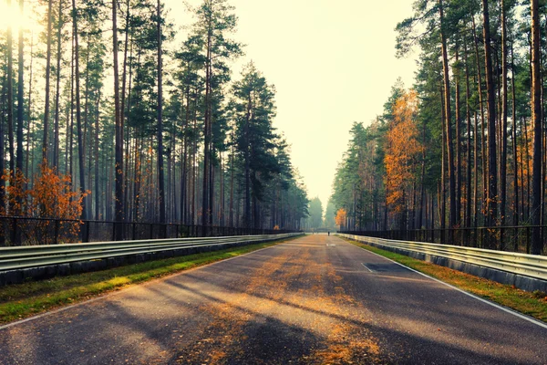 Pustą asfaltową drogą w lesie jesienią — Zdjęcie stockowe