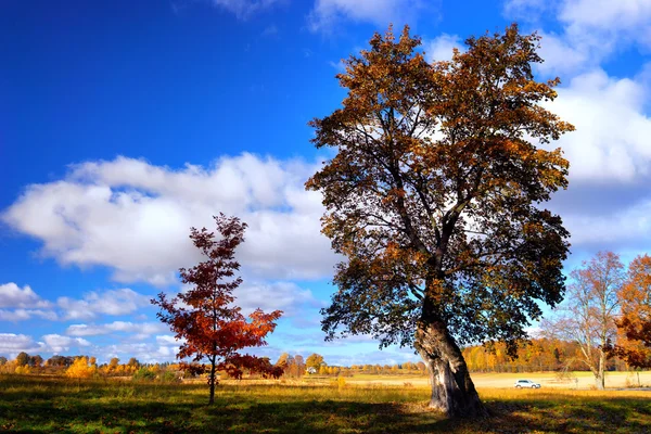 L'auto va sul paesaggio rurale autunnale — Foto Stock