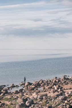 Denizin kenarında buzlu duran bir çocuk