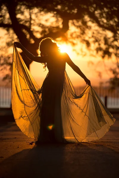 Silhueta de mulher na moda bonita no vestido longo que anda na estrada de cidade de pôr-do-sol — Fotografia de Stock