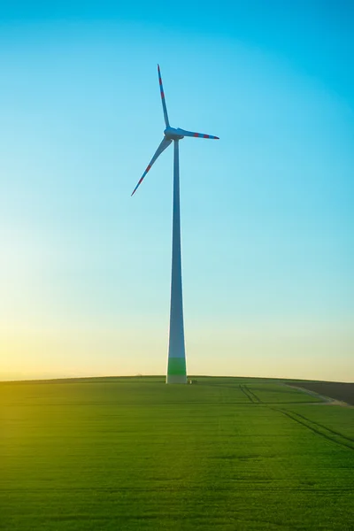 Gerador de vento no campo verde — Fotografia de Stock