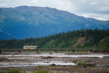 Alaska 'daki Denali Ulusal Parkı yaz manzarası dağ manzarası