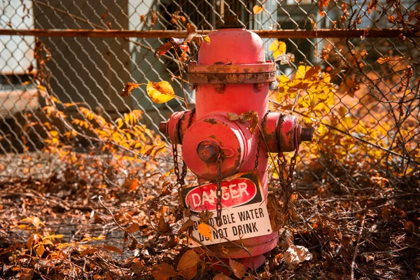 放棄された消火栓 — ストック写真