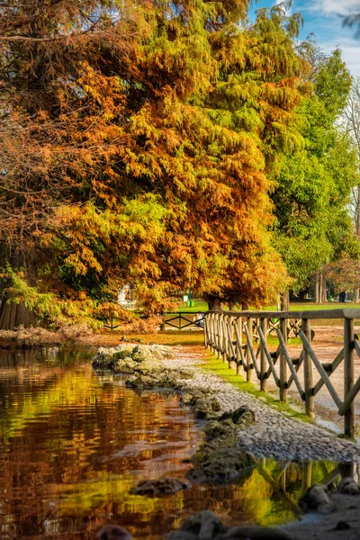 Vackra höstträd och sjön i parken Sempione, Milano, Italien — Stockfoto