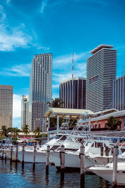 Luxury yachts and skyscrapers at the Bayside Marina in Miami — Stock Photo, Image