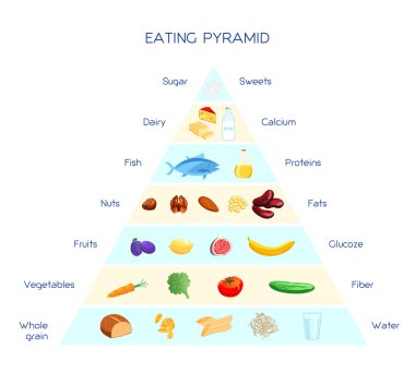 Beslenme Piramidi kavramı