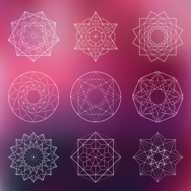 Kutsal geometri kümesi