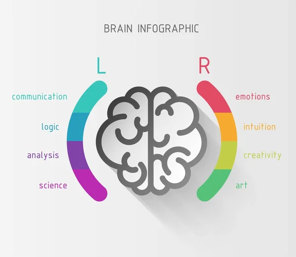 Concept nfographique du cerveau — Image vectorielle