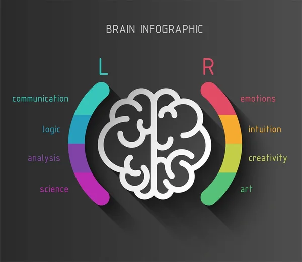 Concept d'infographie cérébrale — Image vectorielle