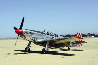 P51 Mustang Fighter 