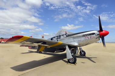 P51 Mustang Fighter 