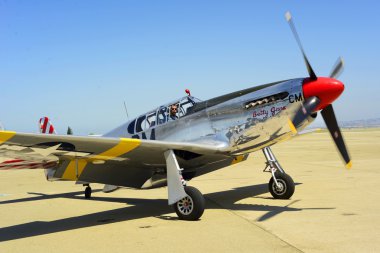 P51 Mustang Fighter 