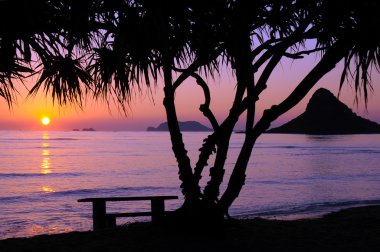 Chinamans Hat Sunrise at Kualoa Park, Oahu Hawaii clipart