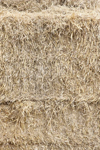 Сухое желтое сено — стоковое фото