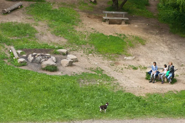 Família com cão no parque — Fotografia de Stock