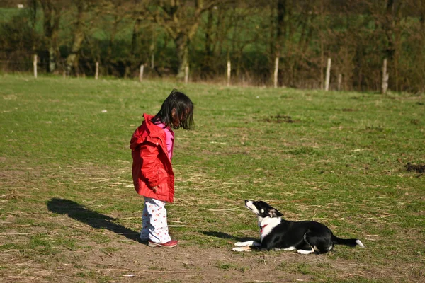 Милая девочка с собакой — стоковое фото