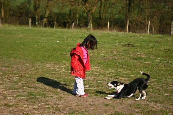 Jolie fille avec chien — Photo