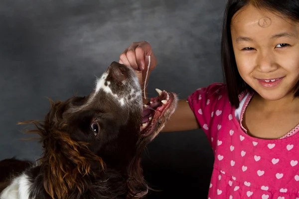 Cute girl with dog — Stock Photo, Image