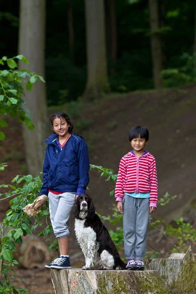 Enfants avec chien dans le parc — Photo