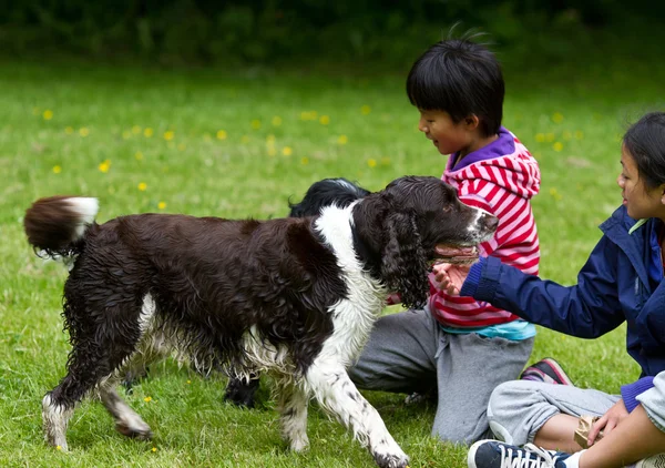 Barn med hund i parken — Stockfoto