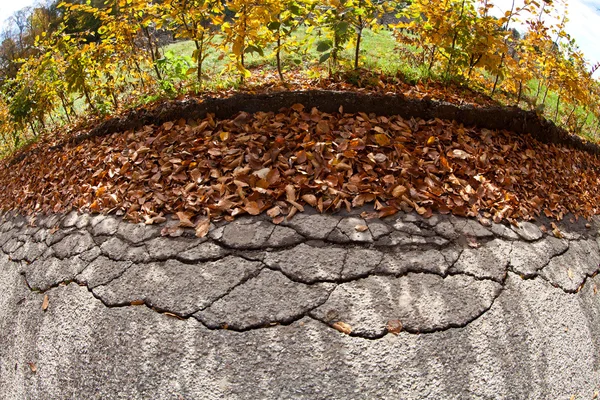 Kaputte Straße im Park — Stockfoto