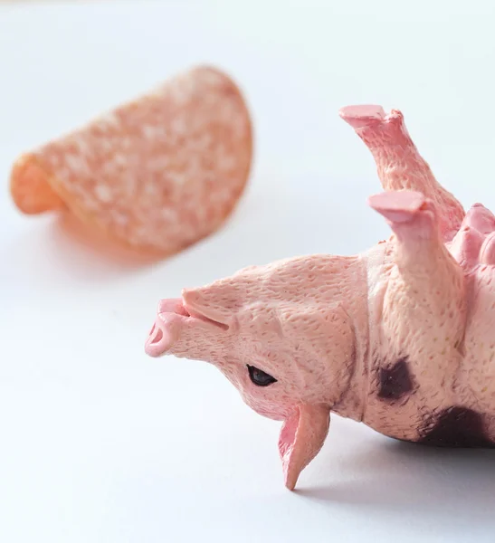 Miniatyr gris med en bit av saussage — Stockfoto