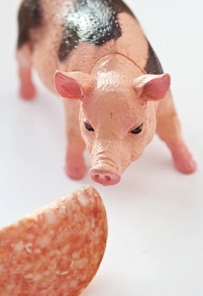 Minischwein mit einem Stück Wurst — Stockfoto