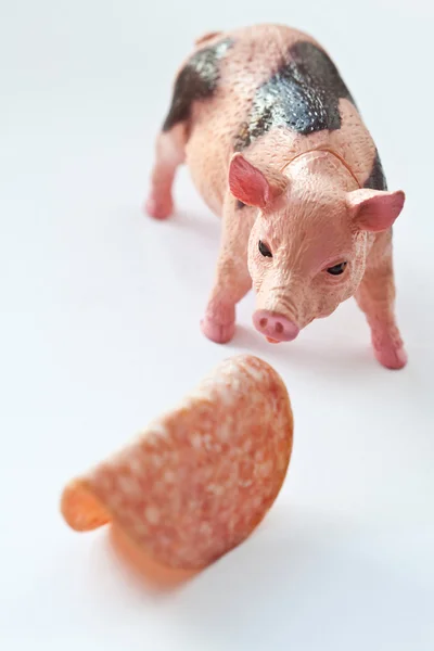 Miniaturowych świń z plasterkiem saussage — Zdjęcie stockowe