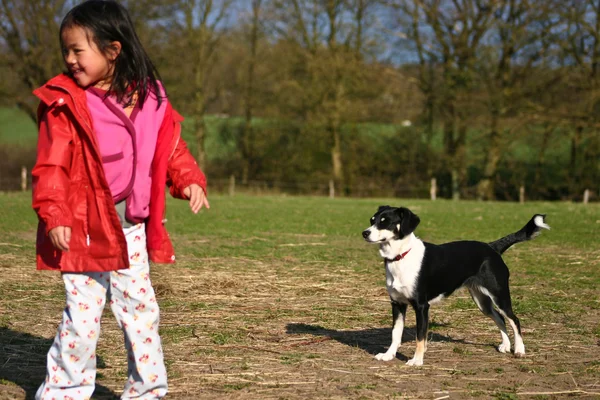 Fille mignonne et son chien — Photo