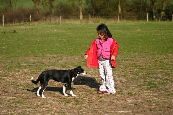 Linda chica y su perro — Foto de Stock
