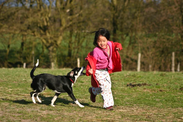 Söt flicka och hennes hund — Stockfoto