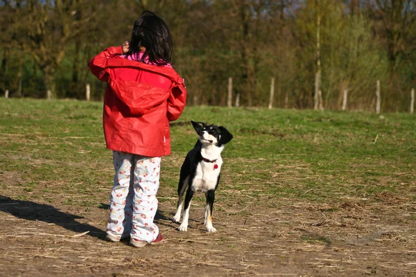 Cute girl and her dog — Stock Photo, Image